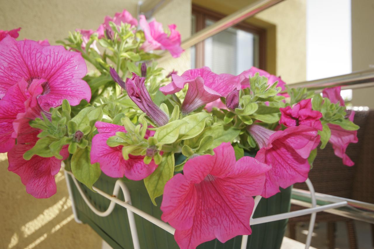 קרק Apartments Salatic מראה חיצוני תמונה