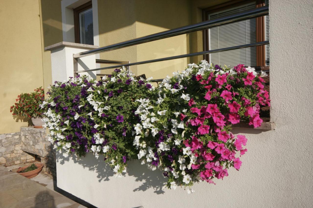 קרק Apartments Salatic מראה חיצוני תמונה