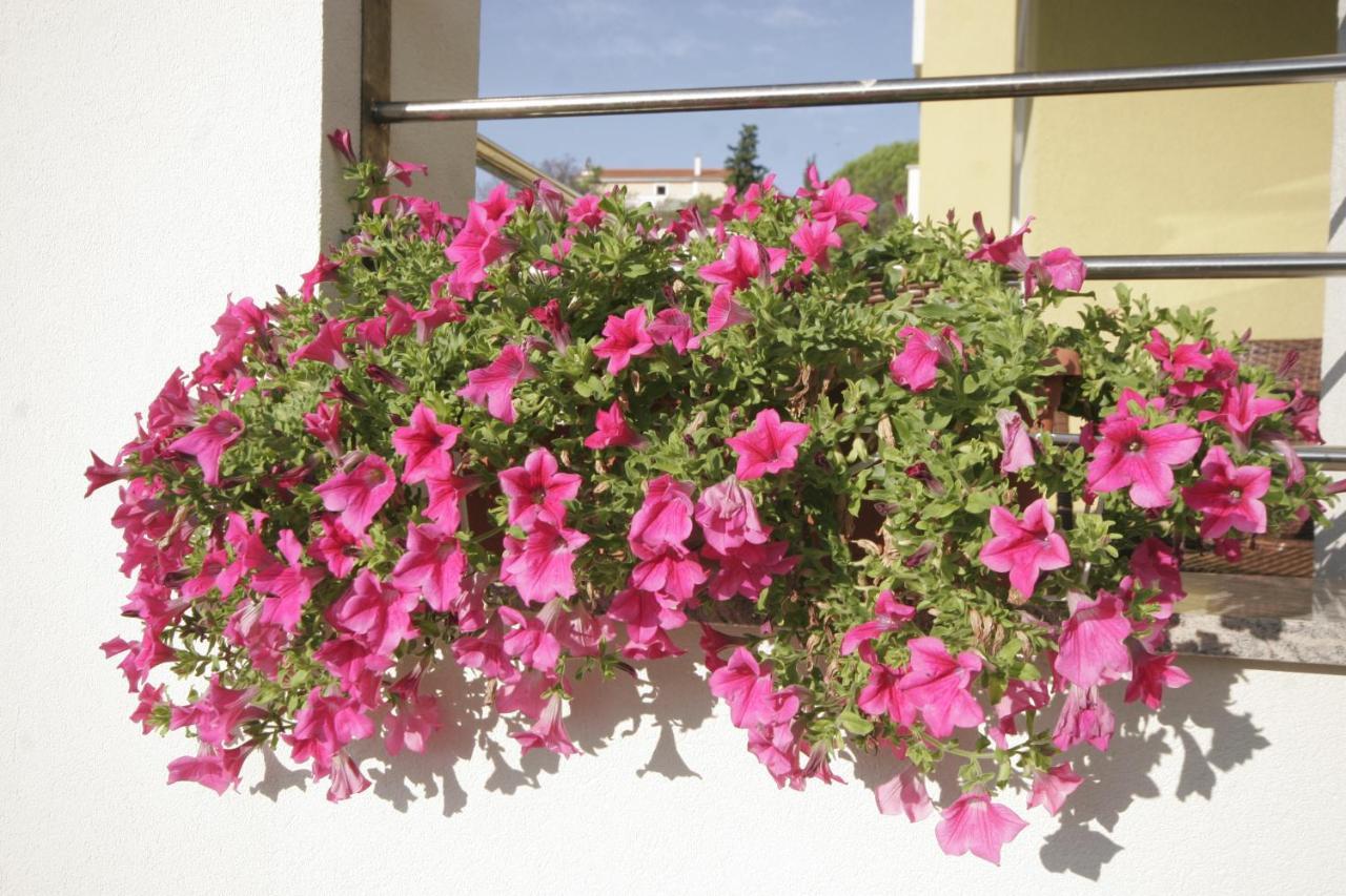 קרק Apartments Salatic מראה חיצוני תמונה
